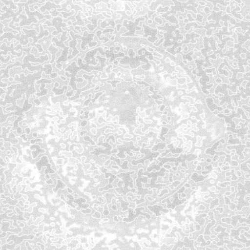 Ambient Occlusion Map