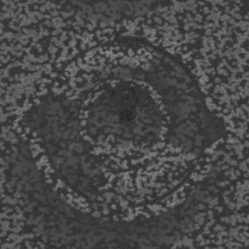 Bump Map