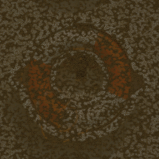 Diffuse Map