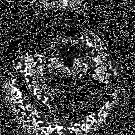 Reflective Occlusion Map