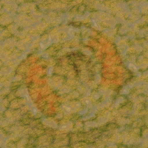 Variation 1