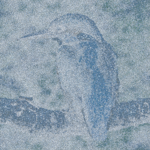 Variation 5