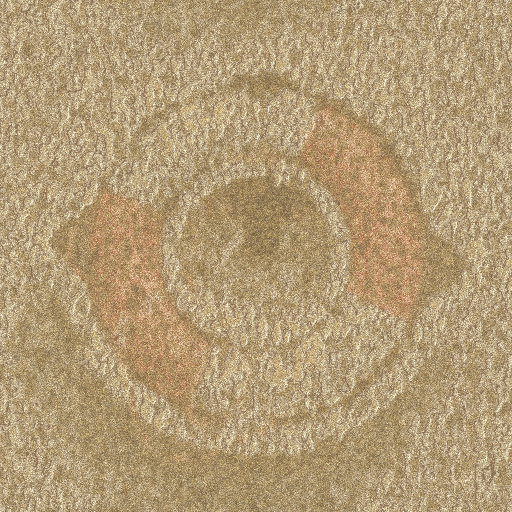 Variation 8