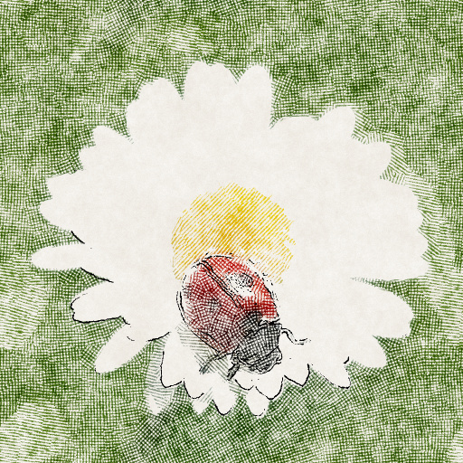 Variation 5
