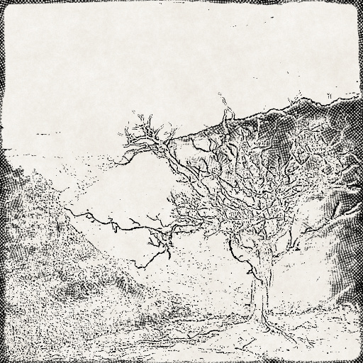 Variation 6