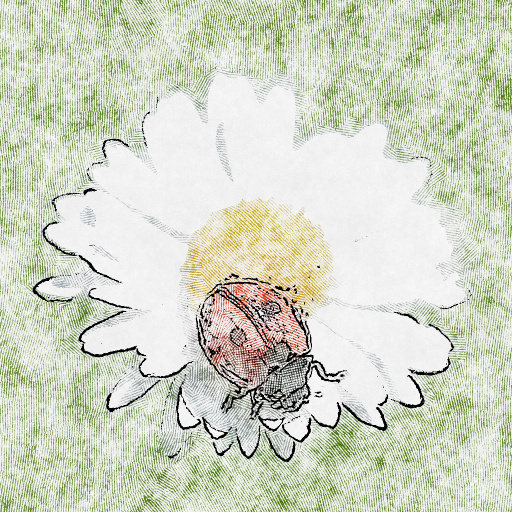 Variation 7