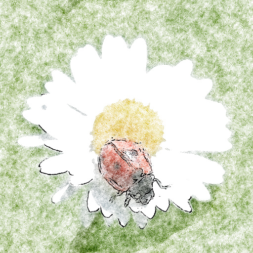 Variation 8