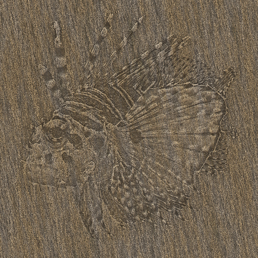 Variation 5