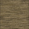 Rotten Wood