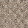 Cork Cork