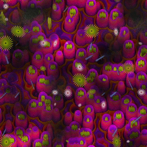 Variation 3