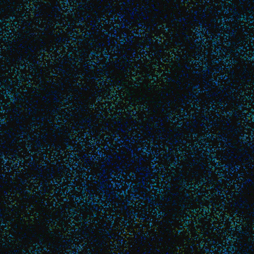 Variation 2