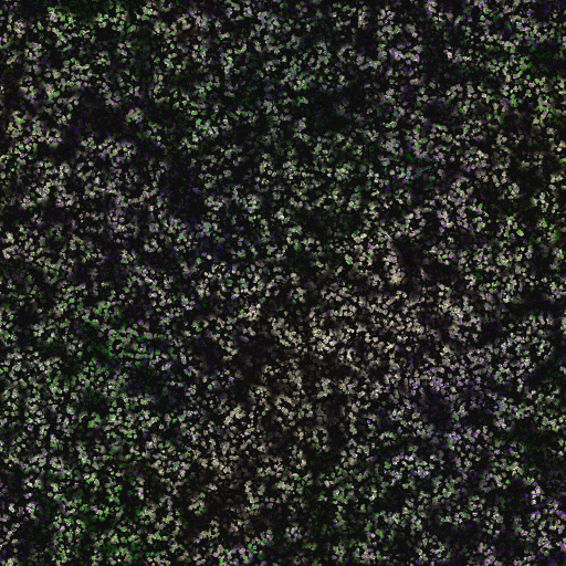 Variation 5