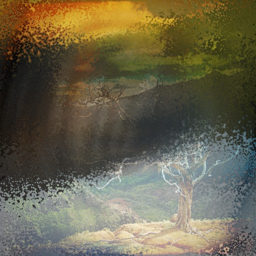 Variation 7