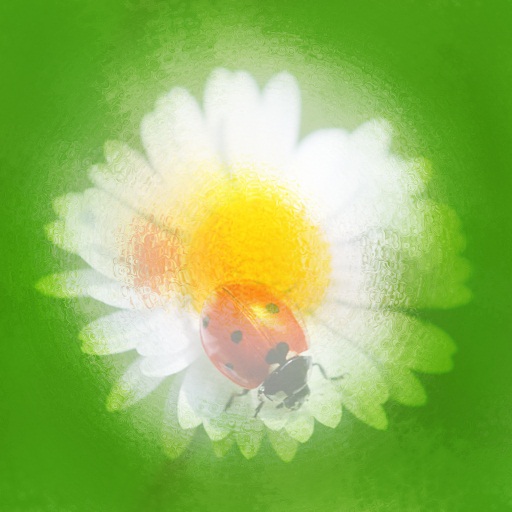 Variation 8