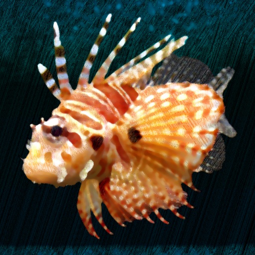 Variation 6