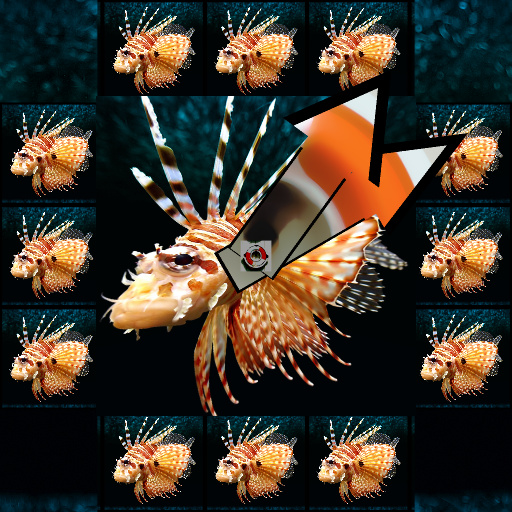 Variation 8