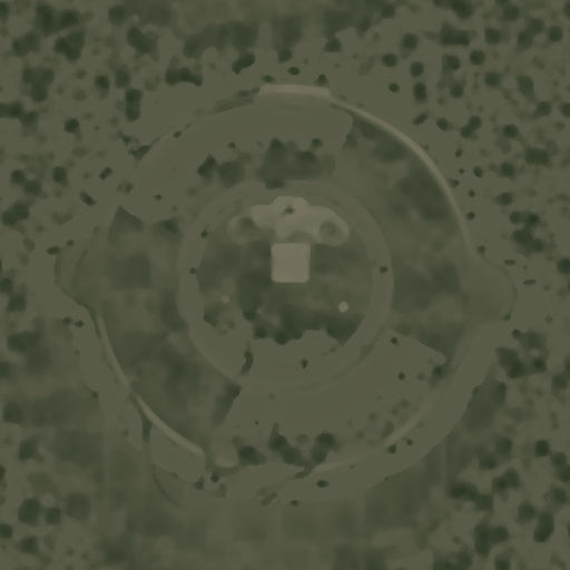 Variation 6