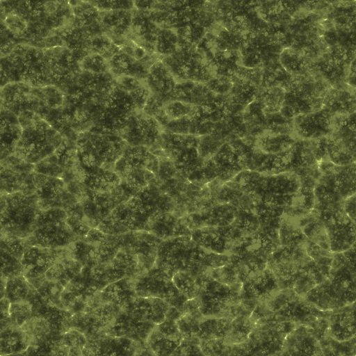 Variation 7