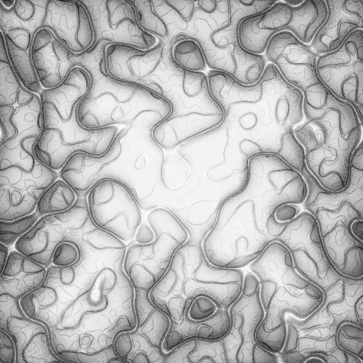 Ambient Occlusion Map