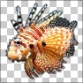 MakeFill