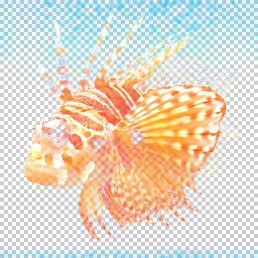UnMultiply (Effect)