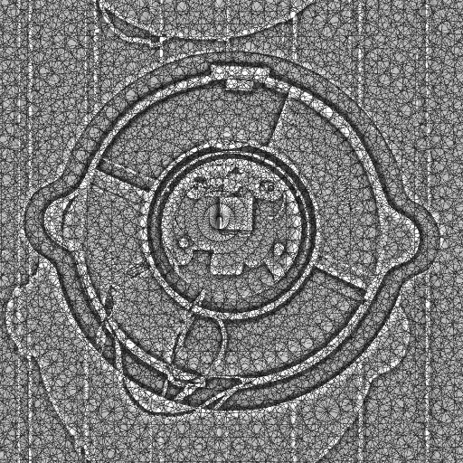 Variation 1