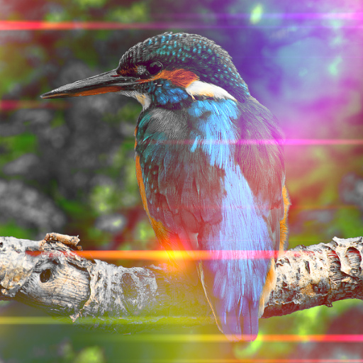 Variation 3