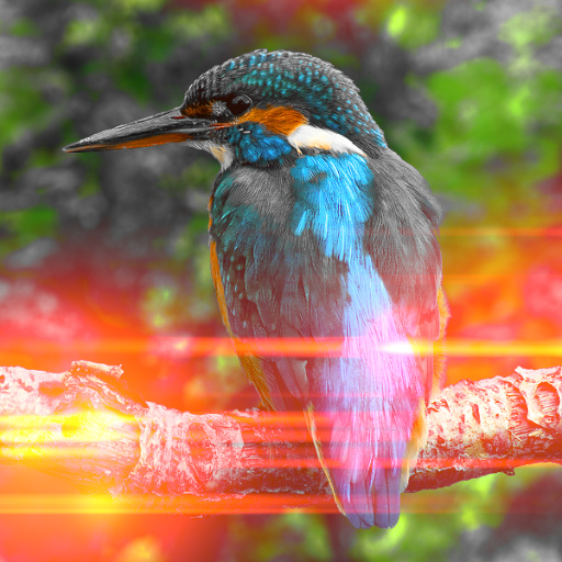 Variation 4