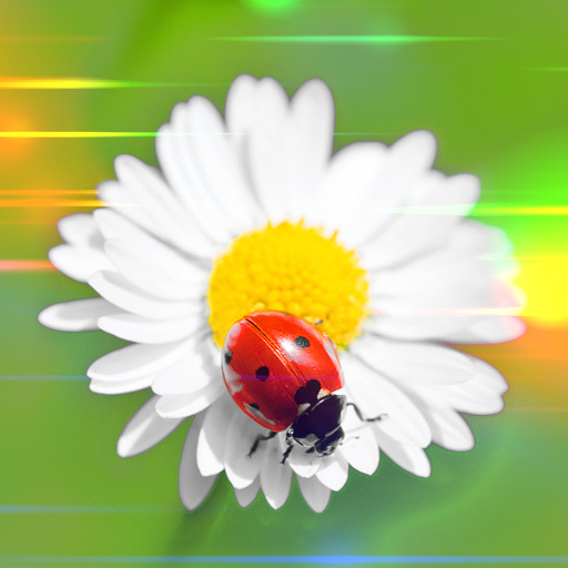 Variation 5