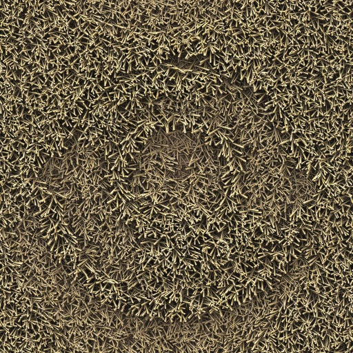 Variation 4