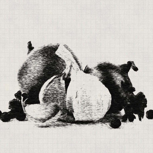 Variation 6