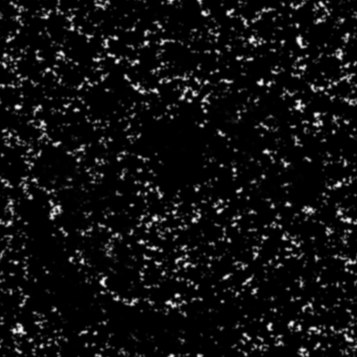 Bump Map