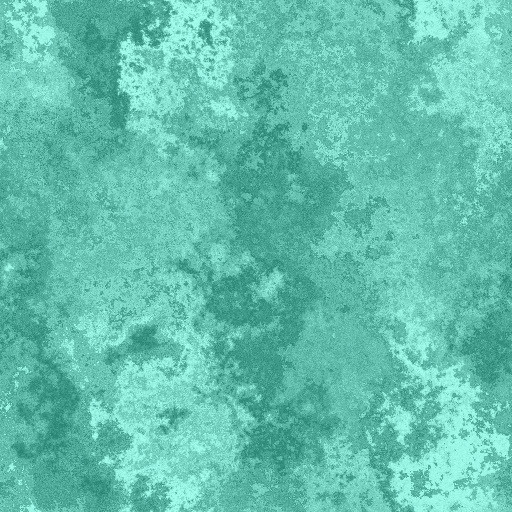 Variation 4