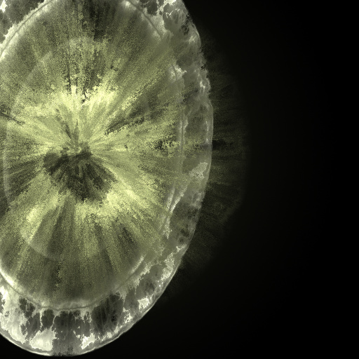 Variation 6