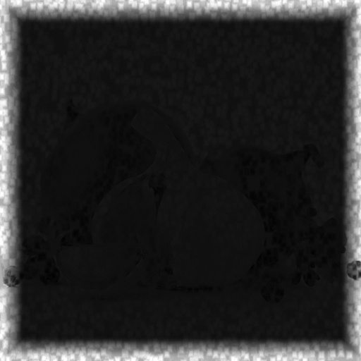 Bump Map