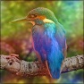 mw_Basic_Colorize