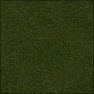 Bill's Ground Cover