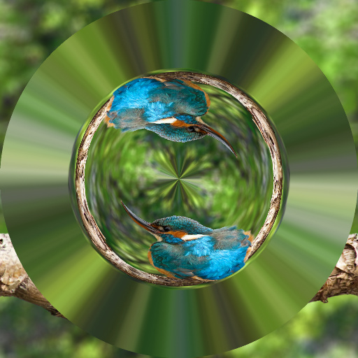 Variation 6