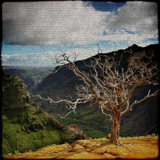 Variation 5
