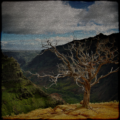 Variation 7