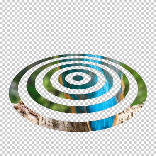 Variation 8