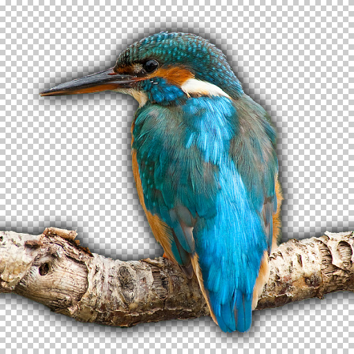 Variation 2