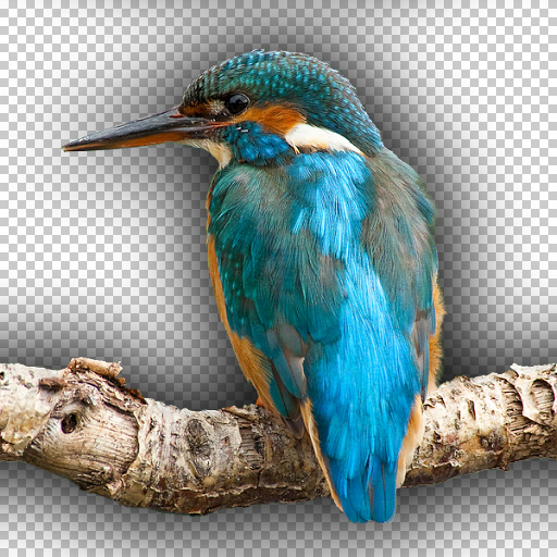 Variation 3