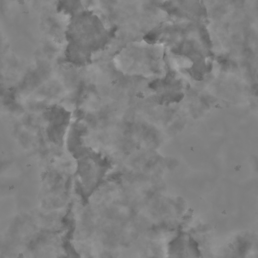 Diffuse Map