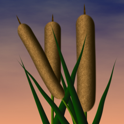 Variation 2