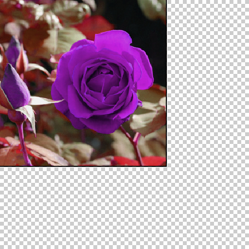 Variation 2