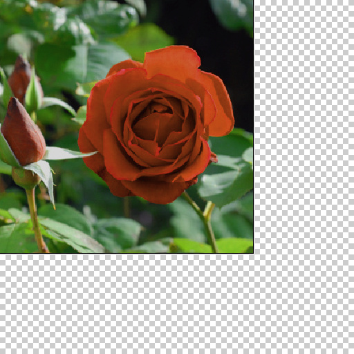 Variation 3