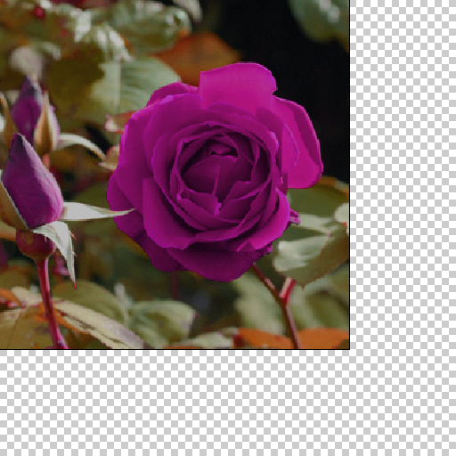 Variation 4