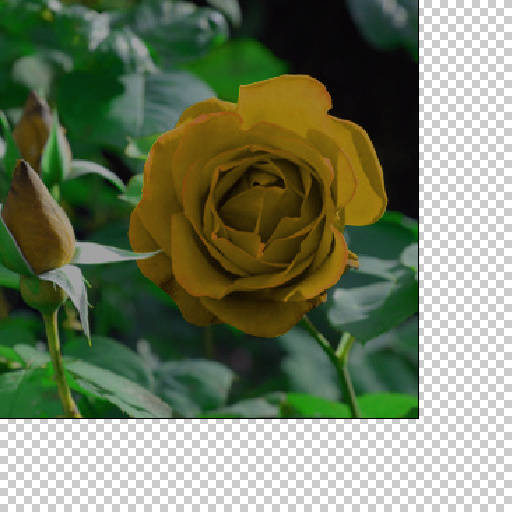 Variation 5
